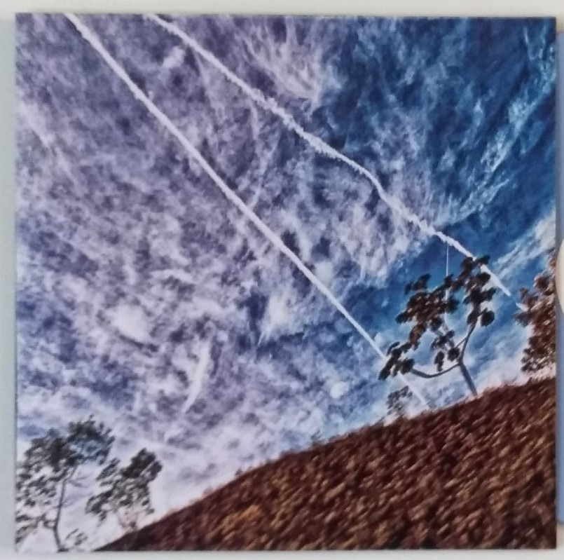 ORDEM NATURAL (2014) - VINIL 12"