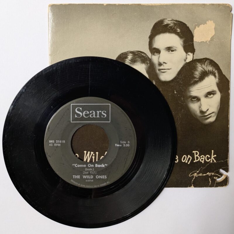 THE WILD ONES - COME ON BACK VOCAL - INSTRUMENTAL (1966) VINIL 7"