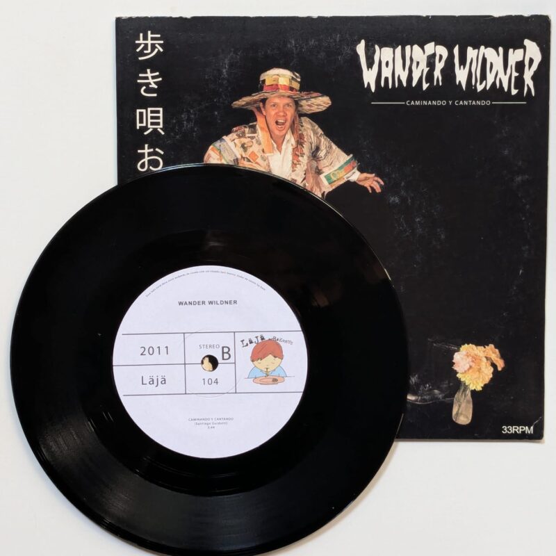 WANDER WILDNER, HANDSOME AND HEARTBREAKERS Caminando Y Cantando / Meus Olhos Estão Chorando (2011) VINIL 7"