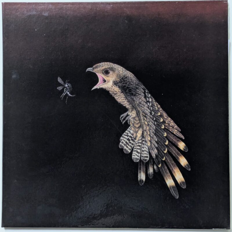 VARIOUS - BACURAU TRILHA SONORA (2020) VINIL 12"