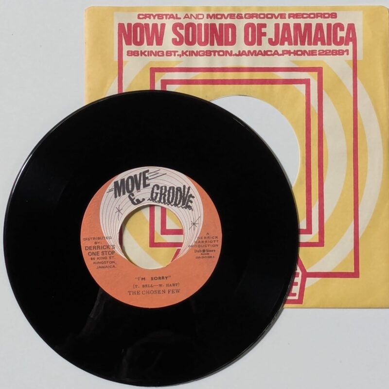 THE CHOSEN FEW -  I'M SORRY / MELTING POT / 2012 / VINIL 7"
